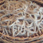 鬼怒川 竹やぶ - 