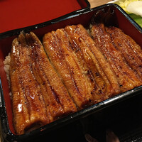 うなぎ 目白ぞろ芽 - 