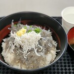 田子の浦港 漁協食堂 - ぷりぷり生しらす丼富士山盛り