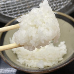 とんかつ 栄ちゃん - これよ