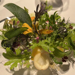 レフェルヴェソンス - 