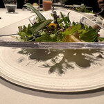 レフェルヴェソンス - 