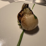 レフェルヴェソンス - 