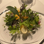 レフェルヴェソンス - 