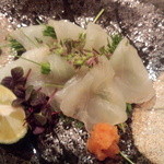 日本料理 たかむら - トラフグ刺身、厚切り。。。歯応え抜群!!美味!!