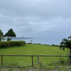 のばれ岬観光農園