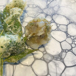 プレゼンテ スギ - 