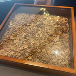 プレゼンテ スギ - 