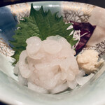 寿司・割烹 四六八ちゃ - 白海老のお造り