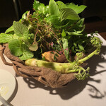 アルカナイズ - 