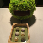 アルカナイズ - 