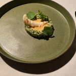 アルカナイズ - 