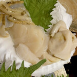 旬酔基じ - ホタテ♬