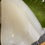 旬酔基じ - ヤリイカ♬