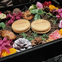 VELROSIER - 
