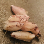 木挽町 とも樹 - 蝦蛄のツメ。希少品