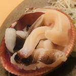 木挽町 とも樹 - 舞鶴の畜養鳥貝と愛知の本ミル貝。器は別名ムラサキの美しい鳥貝の殻です