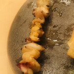 木挽町 とも樹 - 青柳と本ミル貝の紐の炙り。うんまい！お酒が止まらない