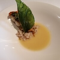 Wattle Tokyo - 