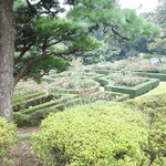 Kyuufurukawa Teien Youkan Kissashitsu - 英国風バラ庭園
