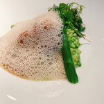 レストランひらまつ 広尾 - リードボーと緑のヤリイカ.