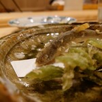 鮨 むらやま - 稚鮎と漉油の天婦羅
