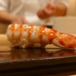 鮨 むらやま - 車海老