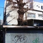 芳野屋 - トタン屋根から木が突き抜けています