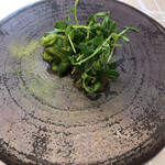 クイントカント - 