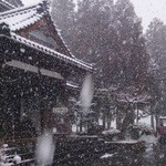 和伊屋 常安楽院 - 吹雪の日でした