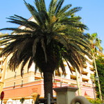 オ・プティ・マタン - 