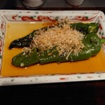 遊亀 - 万願寺唐辛子