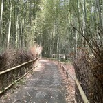 京つけもの西利 - 嵐山竹林の小径