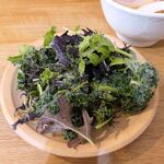 ラーメンやんぐ - 三島野菜サラダ（￥350）。まさかの緑一色（驚）ビネガーと塩でシンプルに