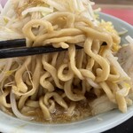 ラーメン もっけだの - 『ラーメン普通ニンニクヤサイマシマシ』の麺