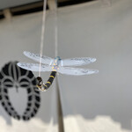 中華蕎麦 春馬 - 嶋春にもあったなぁ〜トンボ