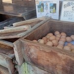 湯庵 - 料理写真:温泉卵