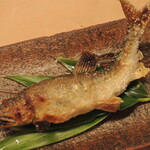 御料理 めなみ - 鮎ちゃん