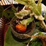 津の守坂 小柴 - 能登フトモズク、コシアブラ