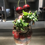 PATISSERIE ASAKO IWAYANAGI - パルフェビジュー スリーズ