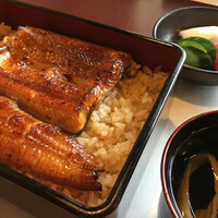 鰻割烹 伊豆栄 本店 -  鰻割烹 伊豆栄 本店 -