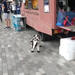 ベスト電器スタジアム - 