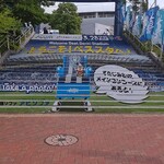 ベスト電器スタジアム - 