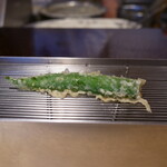 Tempura Yama No Ue Ginza - 