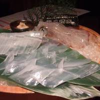寅八商店 心斎橋店 - 萩直送！活けイカのお造り