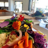 コレドガーナ - サラダと前菜の盛り合わせ　by Mi~ya