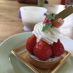 苺のケーキ専門店 レコンパンス ルージュ - 