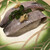 廻転とやま鮨 - 料理写真:イワシ