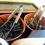 釜揚うどん一紀 - 