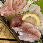 Yokosuka Biru - カマス、マグロ、金目鯛、平目、コチダイ